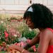 Strawberry girl, tomato girl: o que está por trás das tendências no TikTok?
