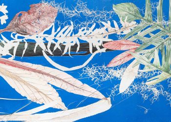 MAM Rio apresenta vasta exposição sobre Burle Marx
