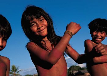 Exposição “Hiromi Nagakura até a Amazônia com Ailton Krenak” chega ampliada ao CCBB RJ