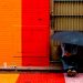 “Cores de São Paulo” é a nova exposição fotográfica no MIS