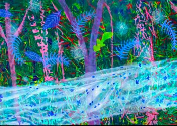 Rio: Anita Schwartz Galeria abre a mostra “Pinacoteca Botânica”