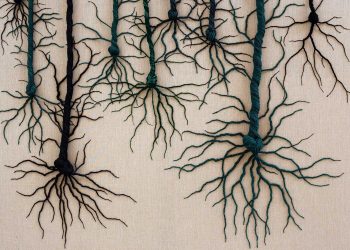 Janaina Mello Landini apresenta “Bosque Neural” na Zipper Galeria