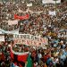 Rio: Pinakotheke Cultural recebe mostra de Alécio de Andrade