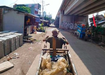 MIS recebe festival de curtas voltados para causas ambientais