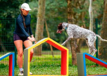 Primeira edição do Festival Pet acontece em julho no Ibirapuera