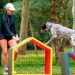 Primeira edição do Festival Pet acontece em julho no Ibirapuera