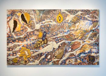 Lívia Moura VAV leva arte compartilhada à Casa Seva