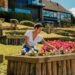 Hotel de luxo na Mantiqueira lança vivência artística inspirada em plantas