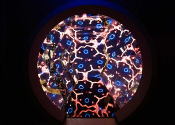 MIS prorroga exposição “Baú do Raul” até 2 de novembro de 2025