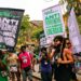 Festival Híbrido terá foco em psicodelia, ciência e saberes indígenas