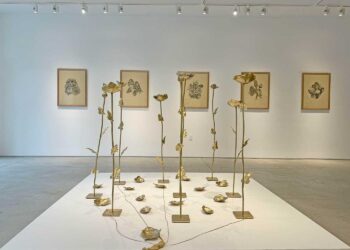 MAC Niterói: Argentino Edo Constantini expõe pela 1ª vez em museu brasileiro