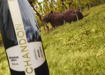 Chandon Brasil lança Programa de Sustentabilidade e Biodiversidade