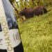Chandon Brasil lança Programa de Sustentabilidade e Biodiversidade