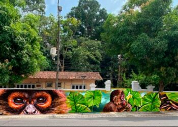 Belém ganha nova fachada do Museu de Arte Urbana