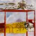 Obra de Frida Kahlo bate recorde e alcança valor milionário