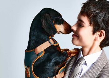 Armani apresenta nova collab de luxo para cães com a Poldo Dog Couture