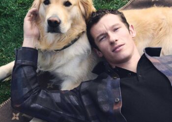Louis Vuitton aposta em linha completa para cães com vibe de alta moda