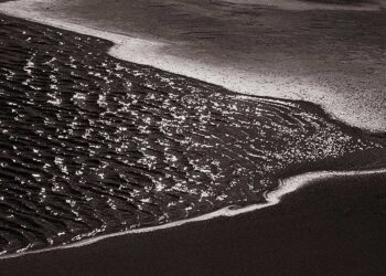 Fotografia vira matéria de criação em mostra de Rogério Medeiros
