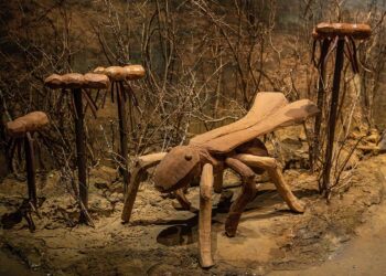 Rio: “Mata Viva” amplia temporada no Crab com foco ambiental