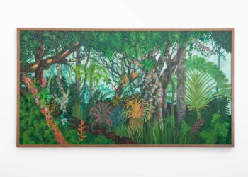 Exposição transforma natureza em experiência sensível e imersiva