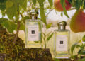 Scent Scanner: Jo Malone usa o Pinterest para recomendar perfumes