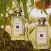 Scent Scanner: Jo Malone usa o Pinterest para recomendar perfumes